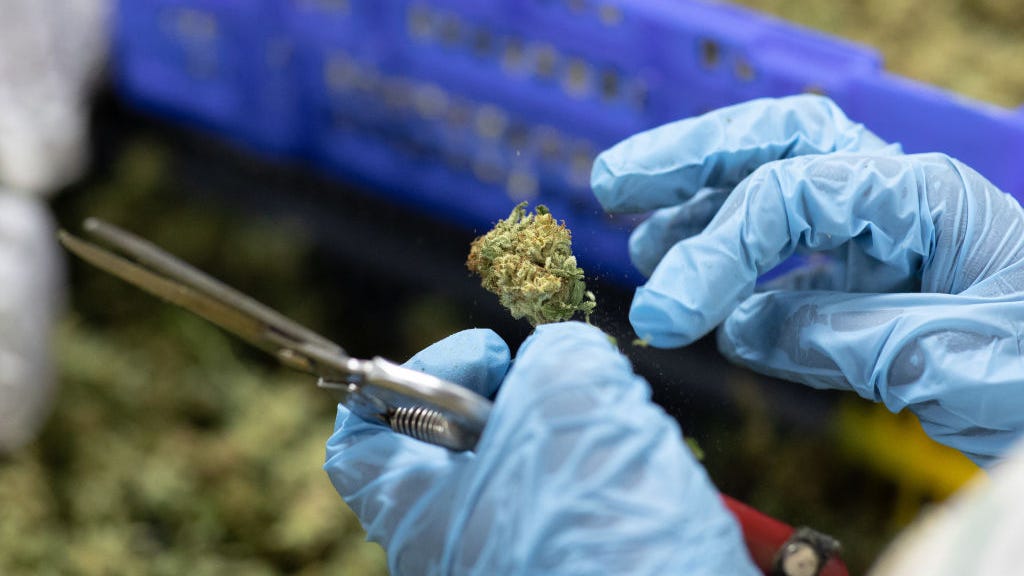 NJ regulators approve rules for recreational cannabis market