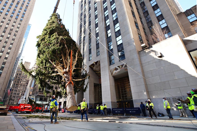 The Rockefeller Center Christmas Tree arrives at Rockefeller Plaza and is craned into place on November 14, 2020 in New York City.