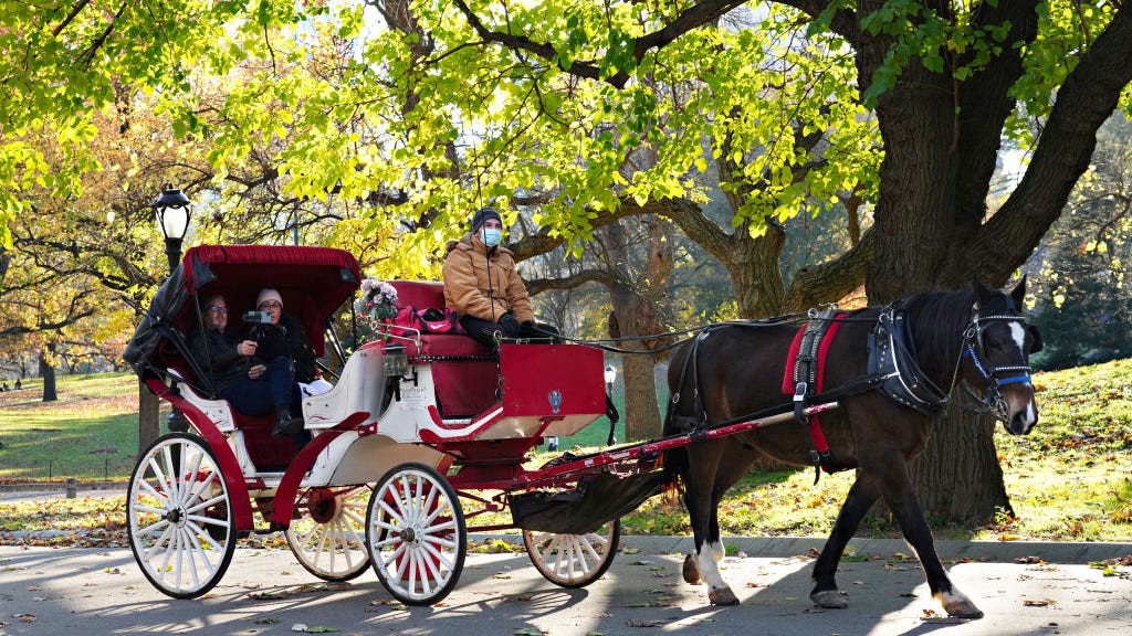 De Blasio to push horse-drawn carriage ban next month: report