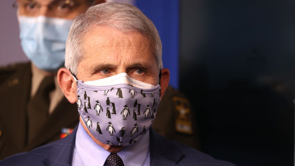 Fauci supports younger kids returning to in-person learning: 'They do not transmit as readily'