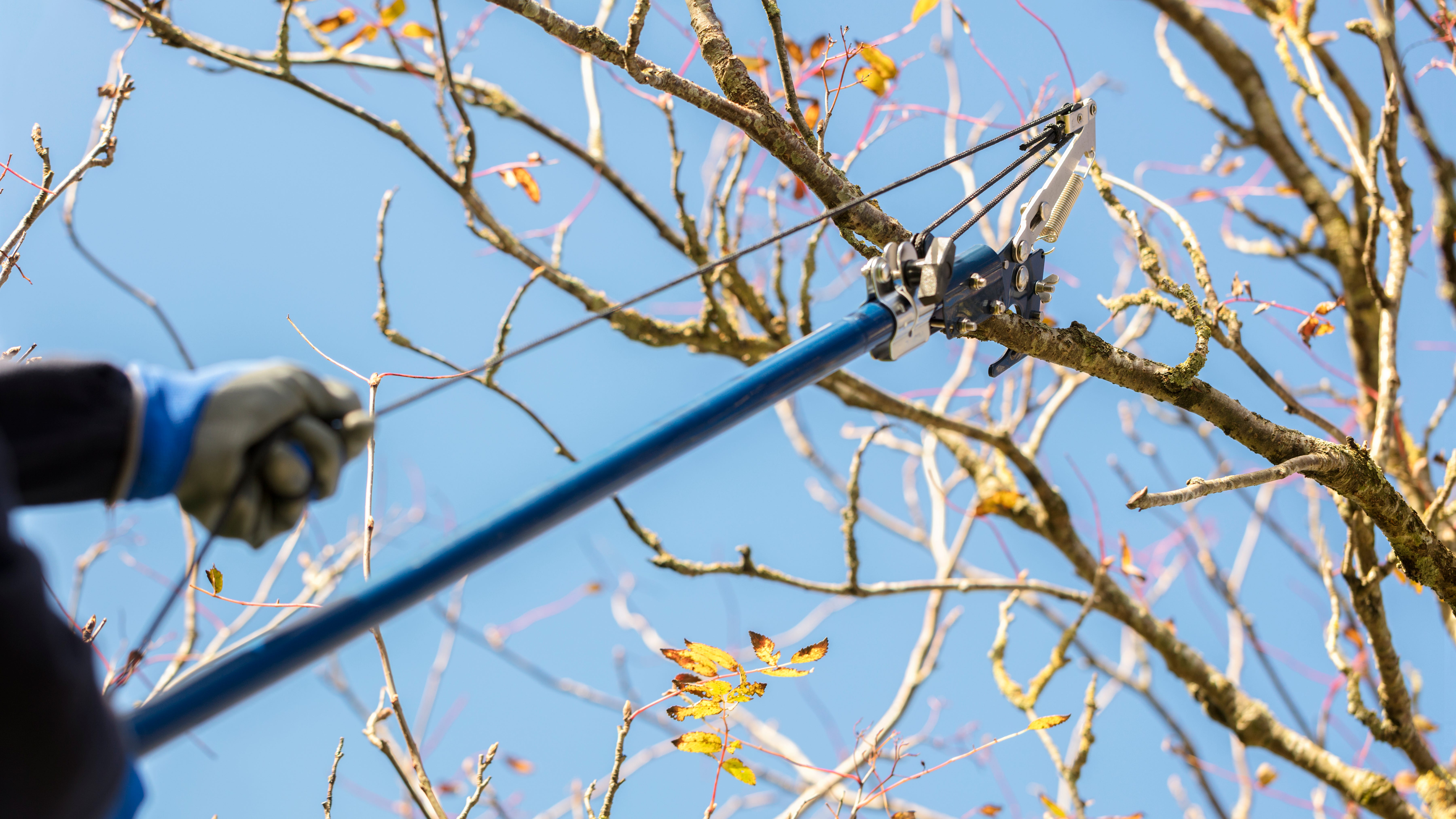 Tree trimmer killed in Agoura Hills identified