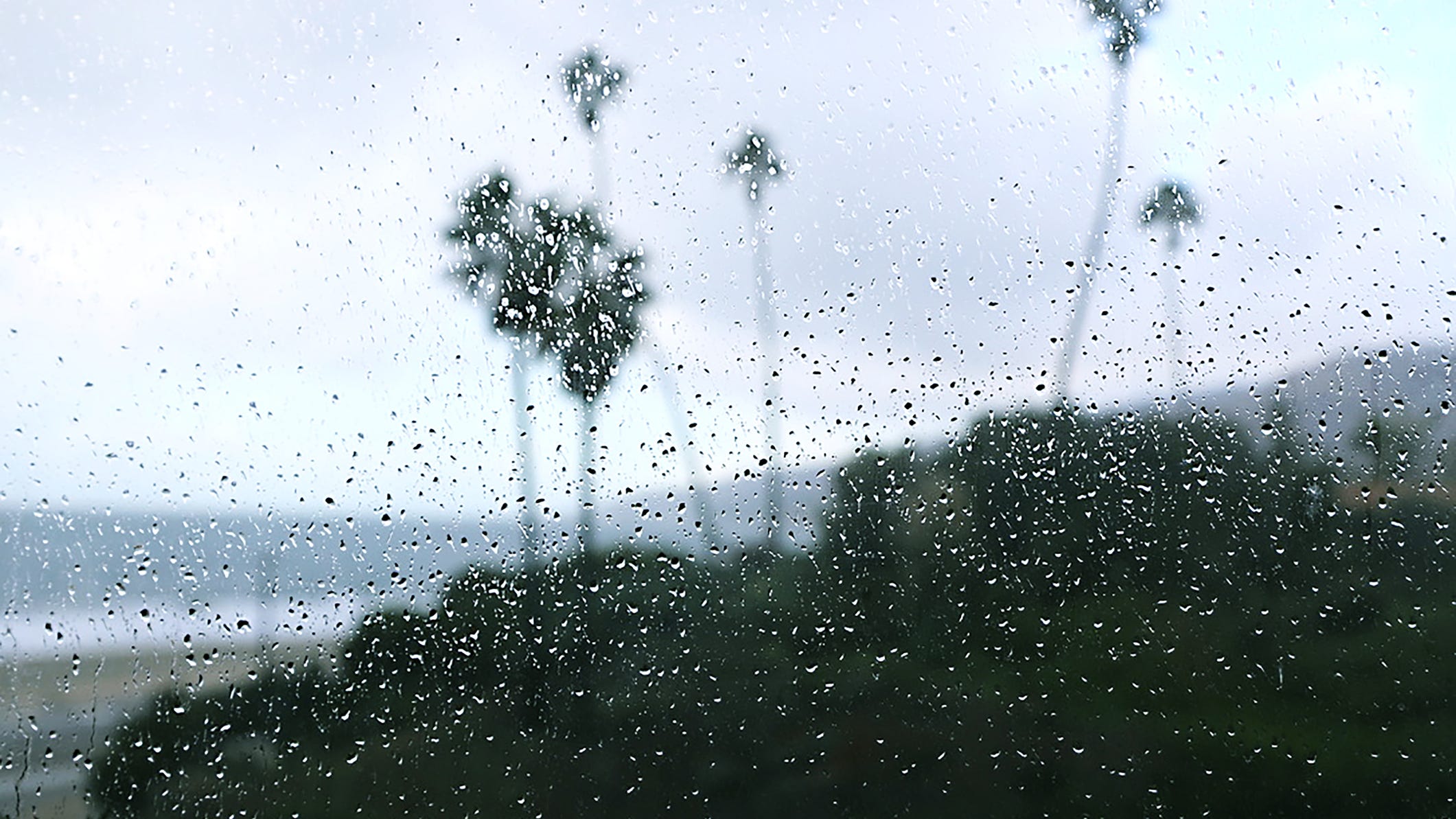 Rain, cold temperatures forecasted for Southern California following record-setting winter heat wave