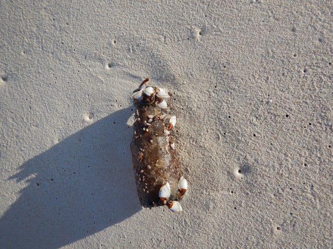 Old message bottle