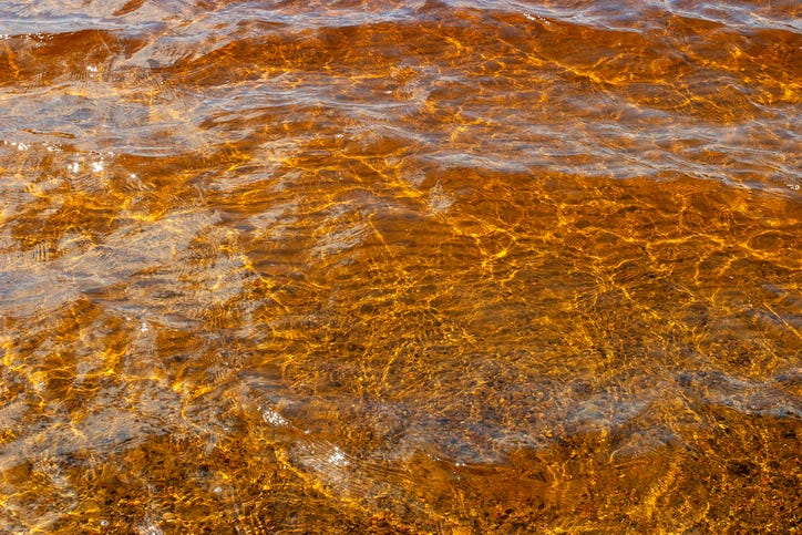 Gold water