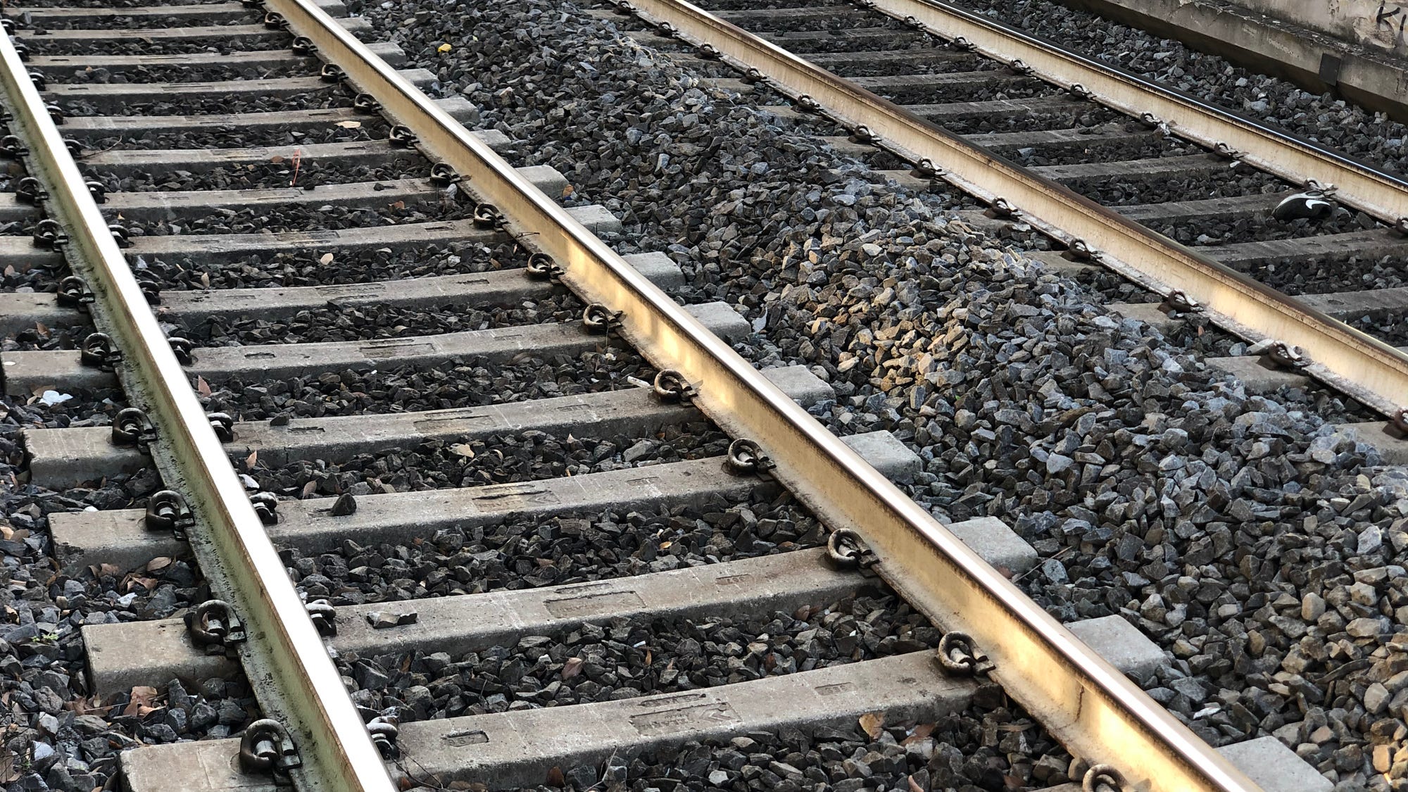 Former L.A. port engineer sentenced to three years for ‘intentional' train wreck inspired by conspiracy theory