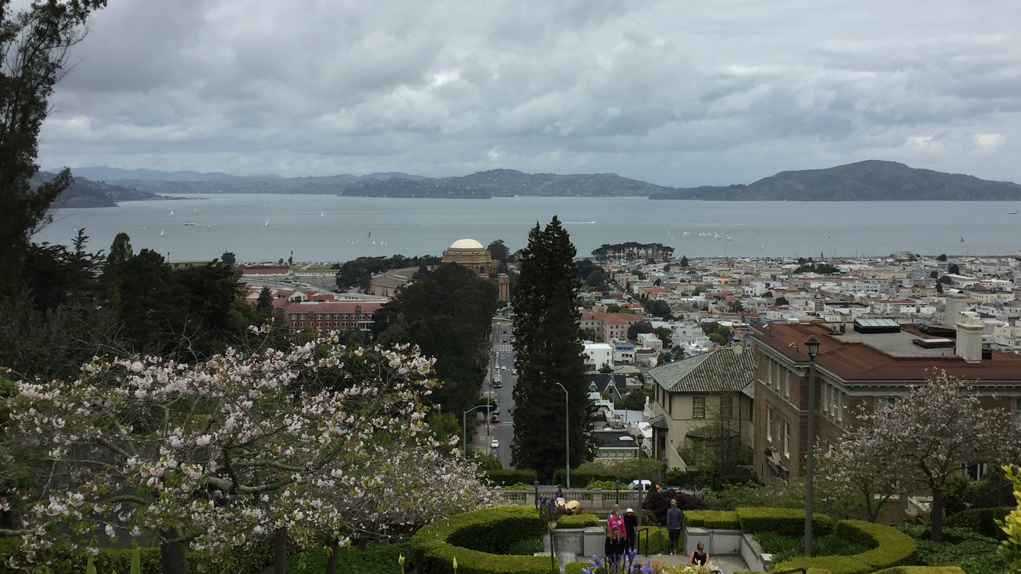 San Francisco police investigating antisemitic flyers left in Pacific Heights