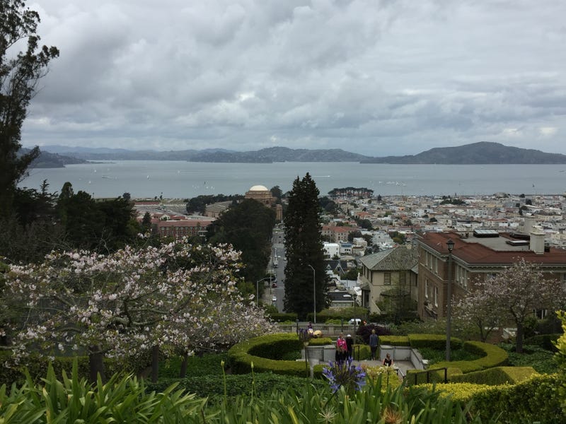 Landscape view on a grey cloudy day from the top of the Lyon Street Steps in the Pacific Heights neighborhood of San Francisco, California.