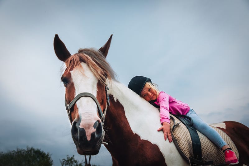 Horse
