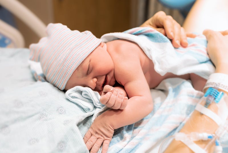 Northwestern birth rate