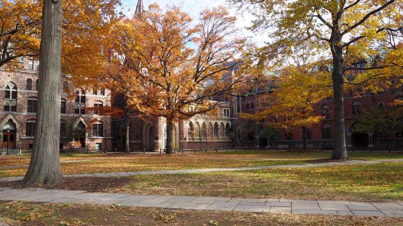 Yale University