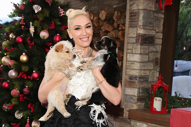 Gwen Stefani with puppies!