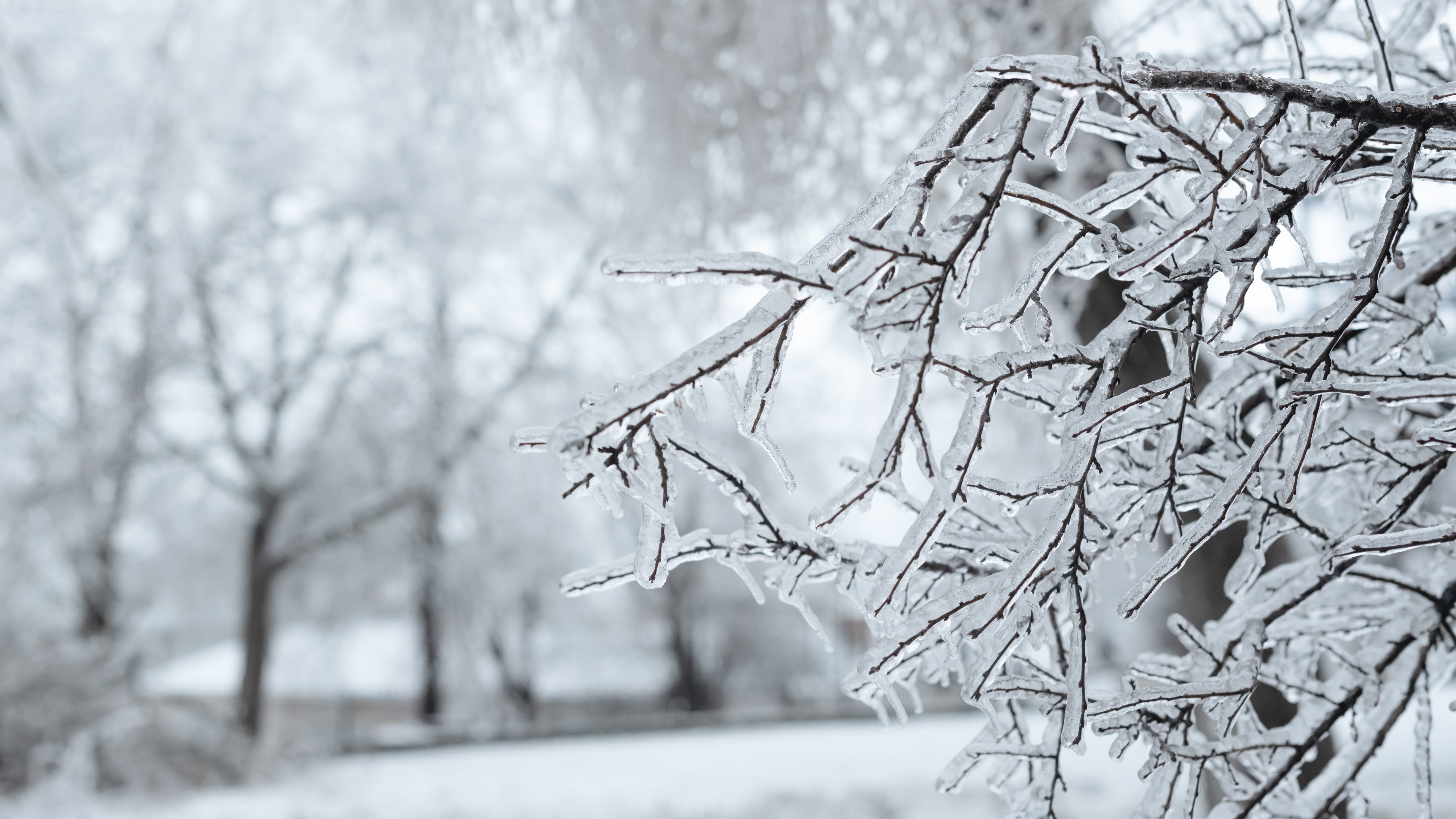 Winter storm could bring near blizzard conditions downstate, up to 4 inches of snow in Chicago area