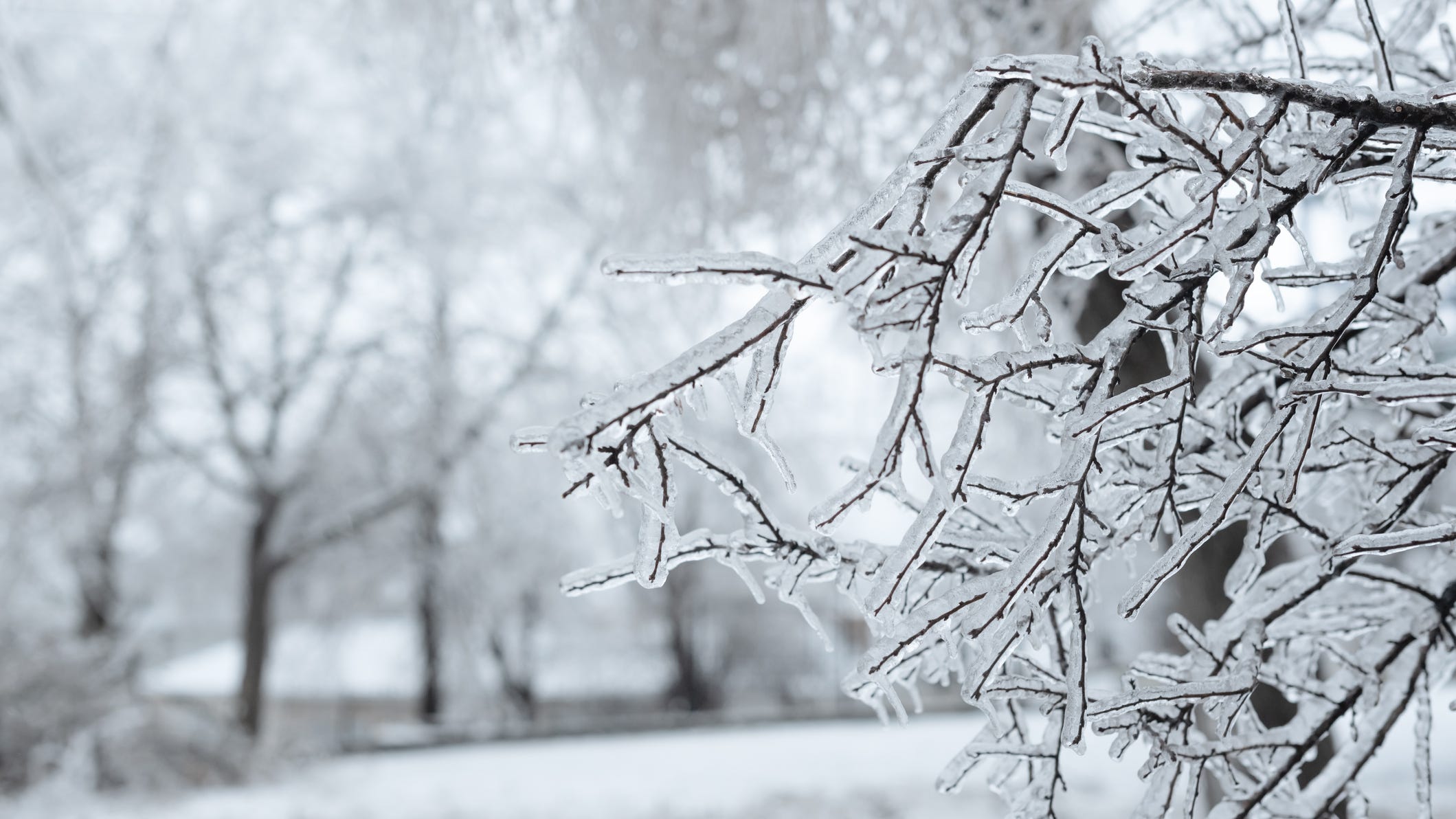 Meteorologists predict third La Niña year, and here's what that means