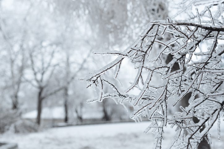 ice