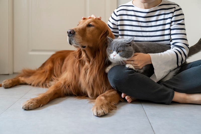 woman holding cat and dog