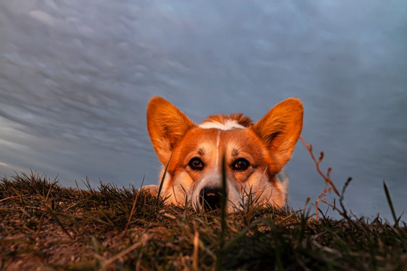 Rain finally moves on, still cloudy