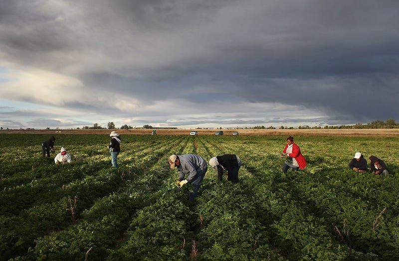 Migrant workers