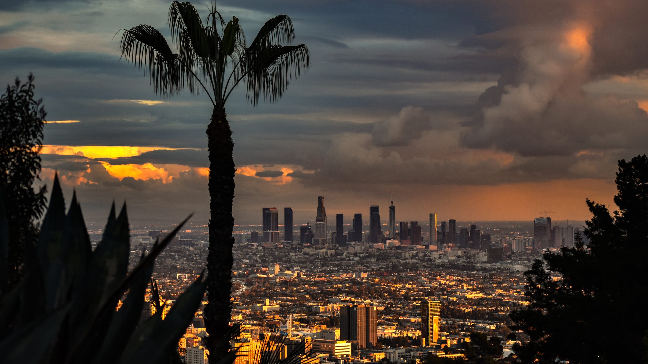 Census indicates shrinking population or possible undercounting on L.A.'s Eastside