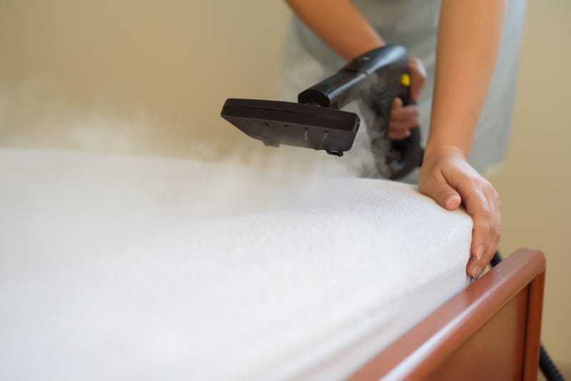 Dust Mites, allergies