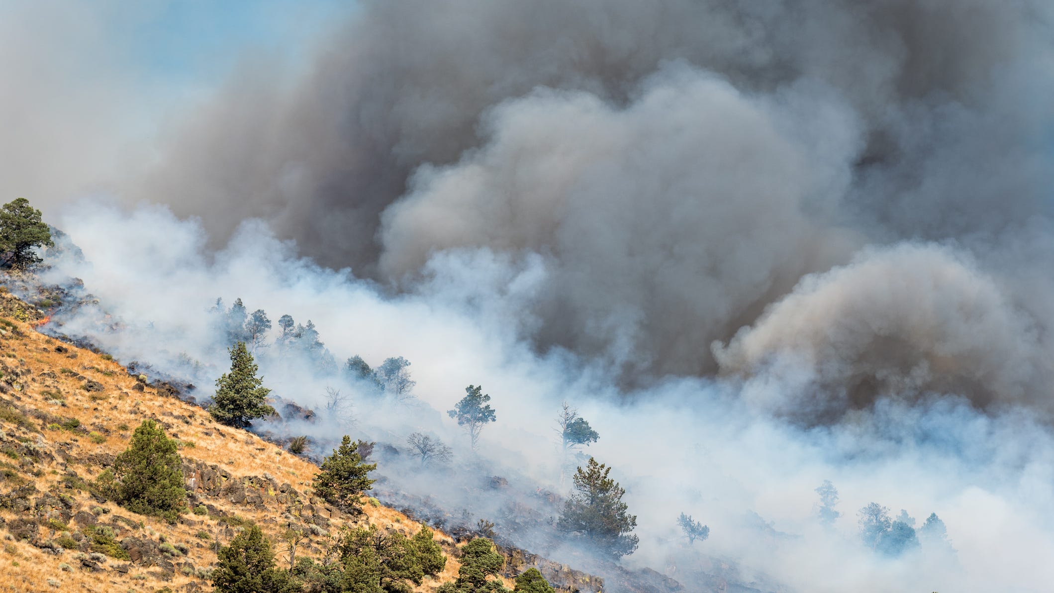 Man charged with Glendale fire could have case dismissed over mental health
