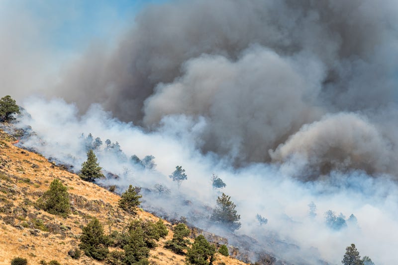 File photo of a brush fire