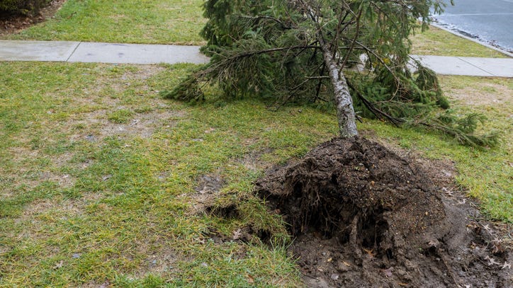 Fierce winds create power outages across North Texas