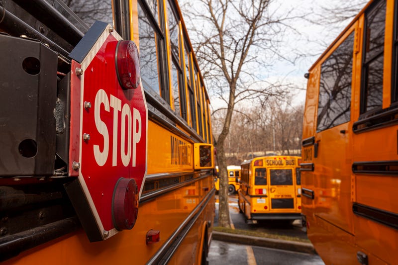 school buses
