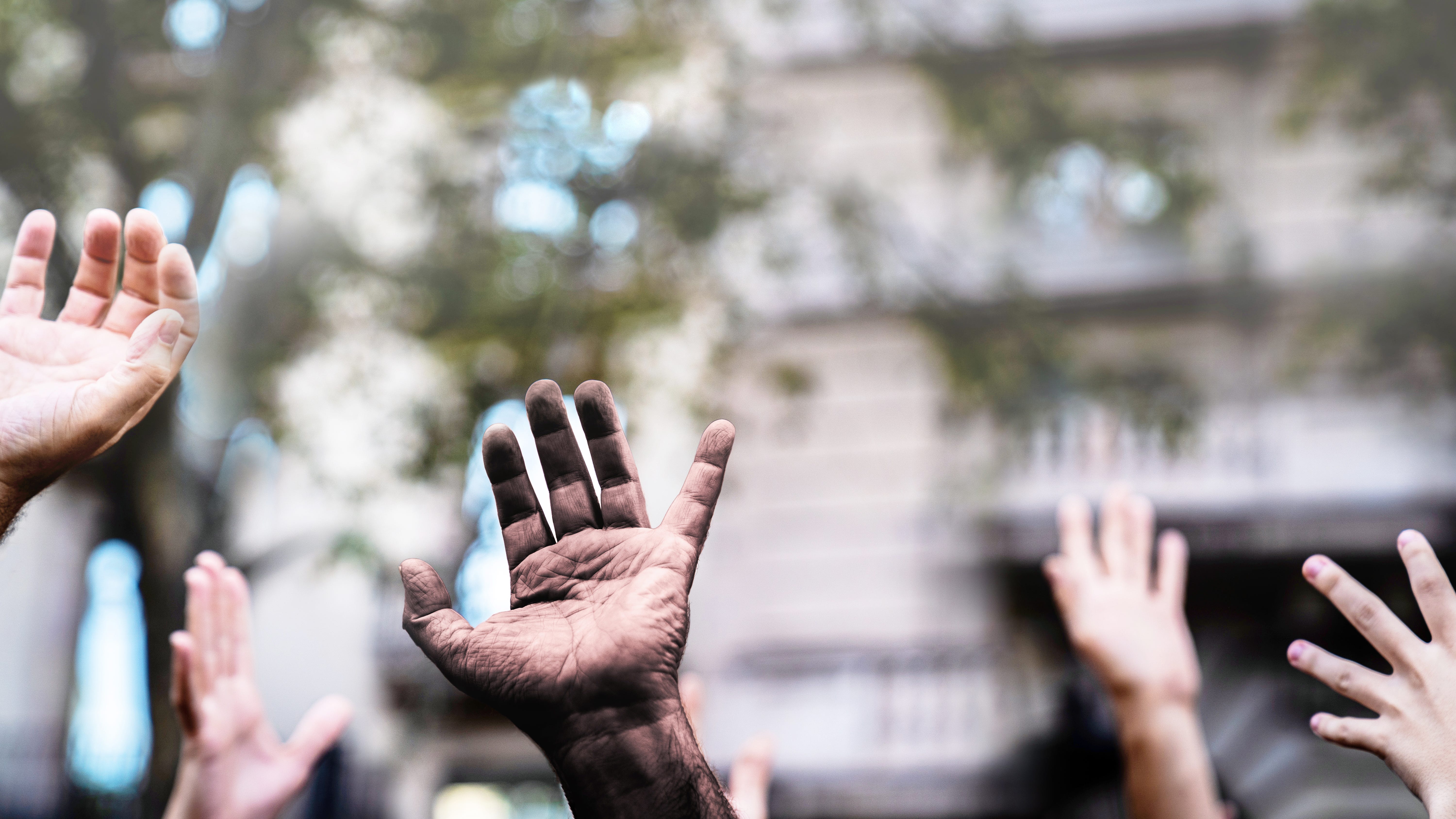 A rally to honor dead Black transgender women turns into chaotic scene