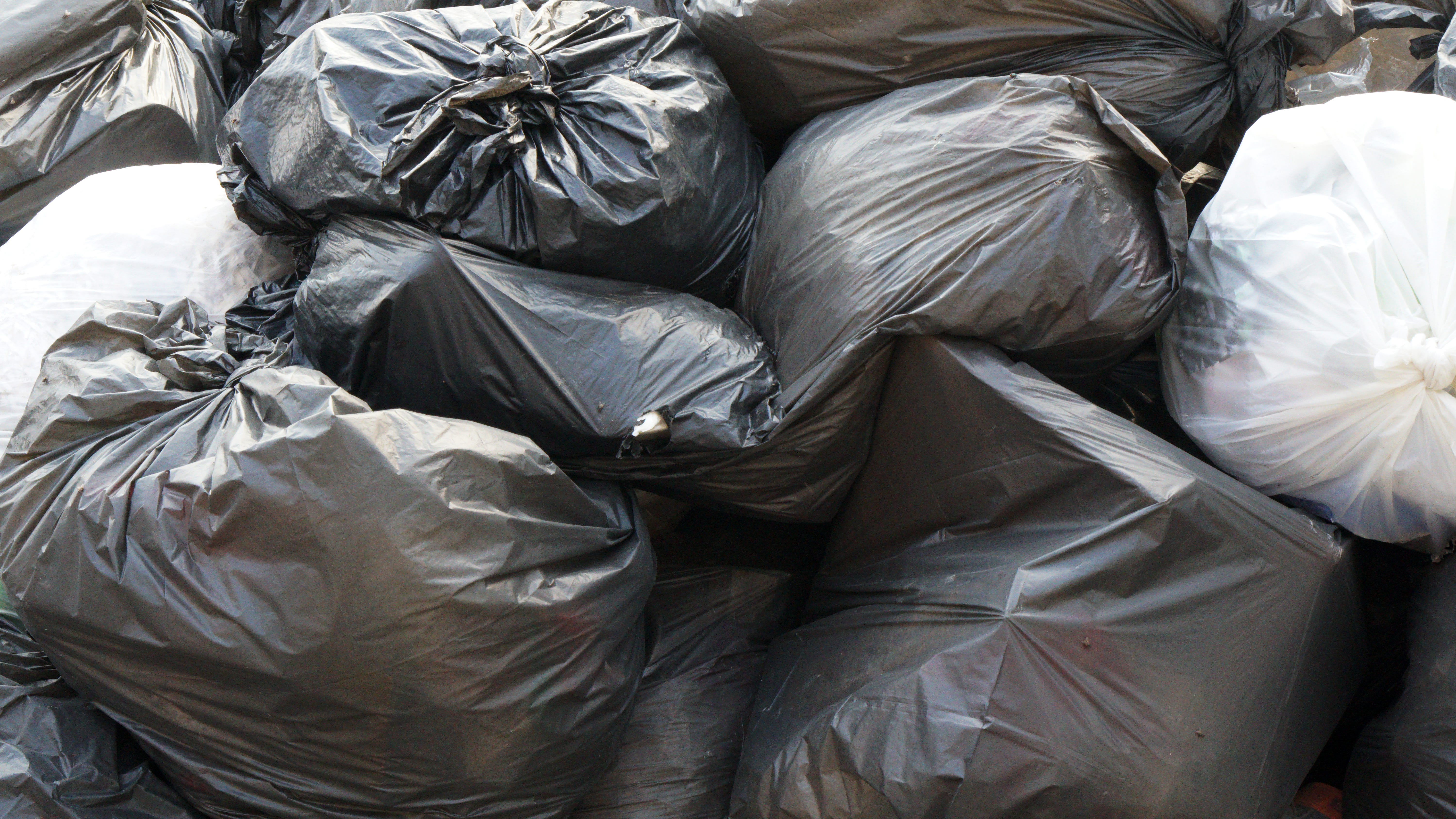 Encuentran una pierna humana en una pila de basura en Brooklyn, días después del descubrimiento del torso de una mujer