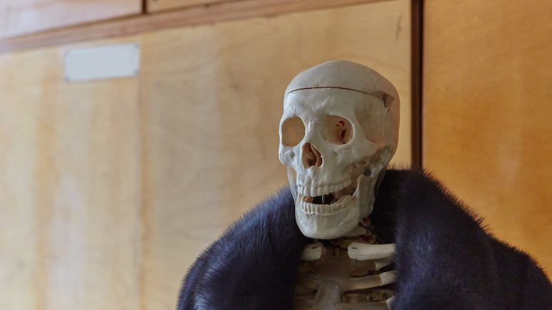 Texas man cited for driving in HOV lane with a skeleton in the passenger's seat