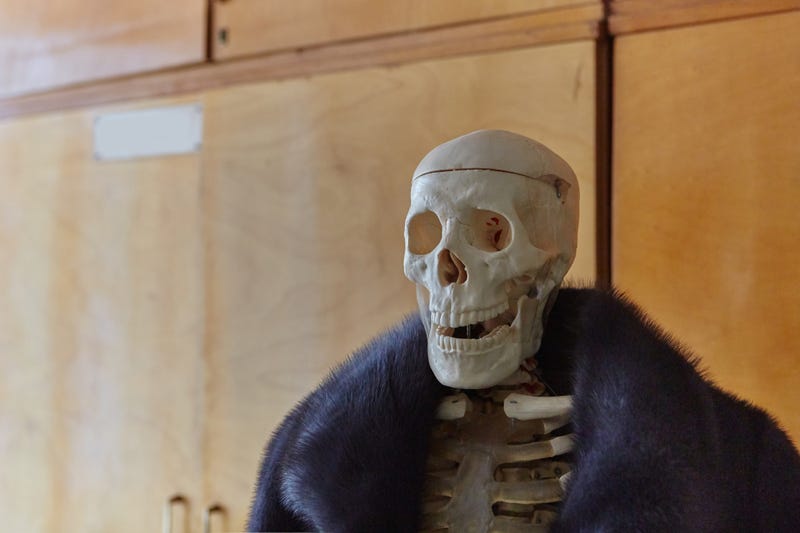 Skeleton of a man in a fur coat