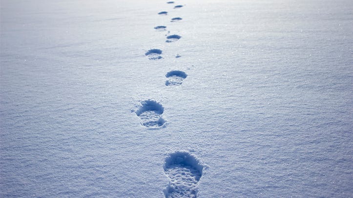 Troy man faces 3rd drunk driving charge after cops follow footprints in snow to his home