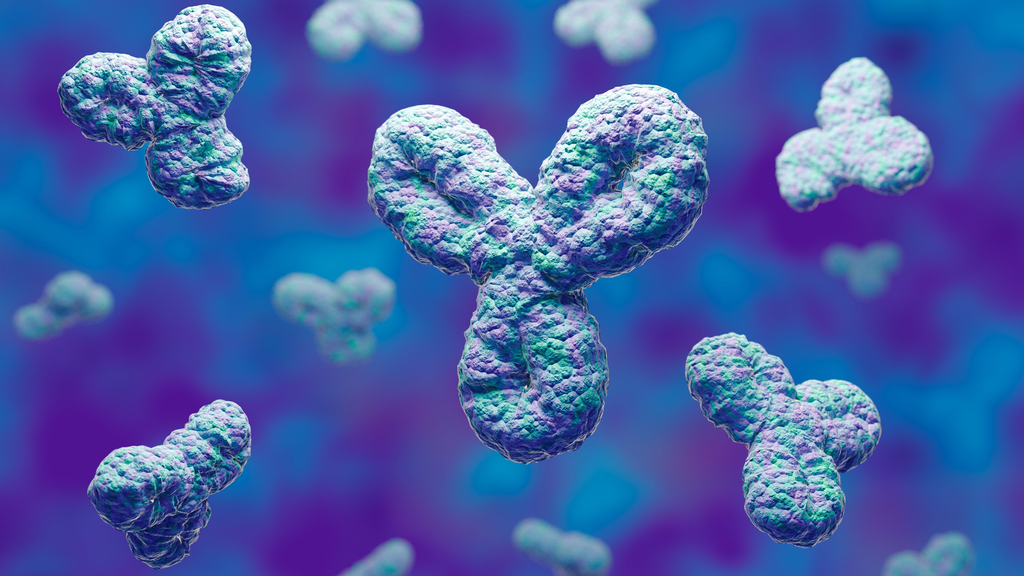 'Antibodies are not the be-all end-all' of COVID-19 immunity