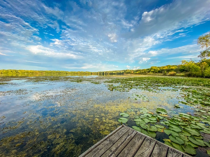 The Minnesota Pollution Control Agency is helping shed some light on what they're calling a statewide algae threat.