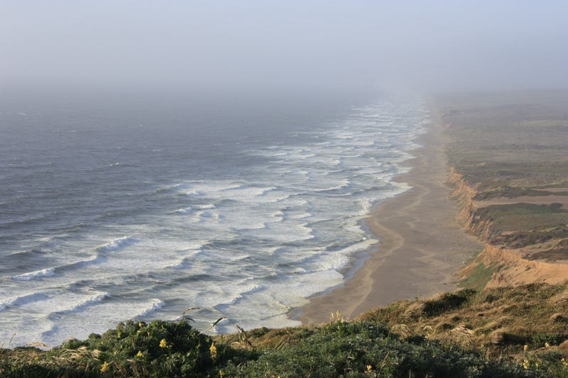 The Pacific Ocean coastline at Point Reyes National Seashore.