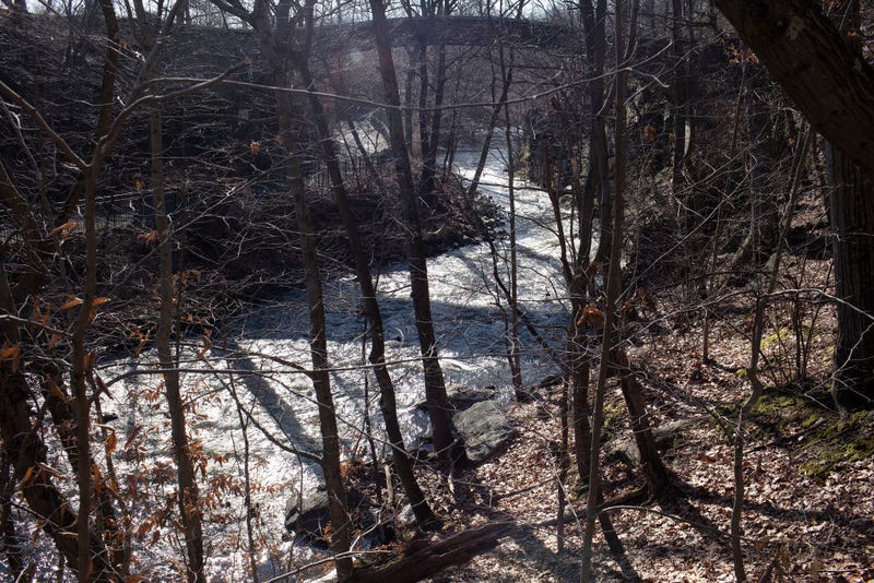 The Bronx River flows through the preserved woodlands inside the Bronx Botanical Gardens on Dec. 27, 2020.