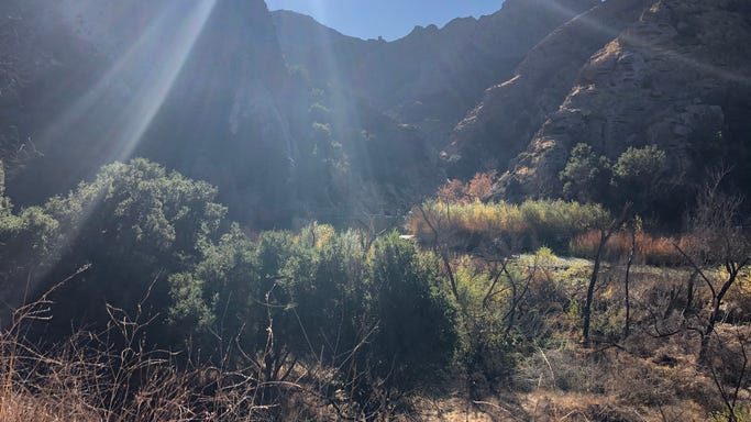 Man charged with 2018 Malibu state park murder removed from court after expletive-laden outburst