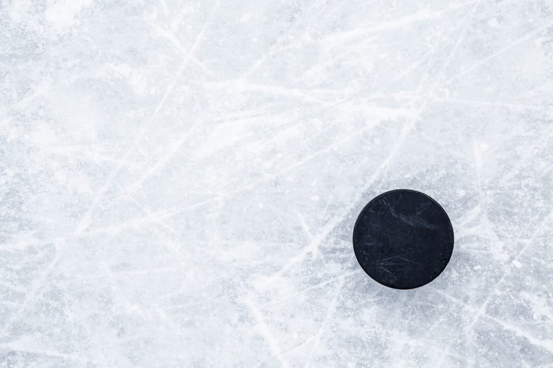 Hockey puck