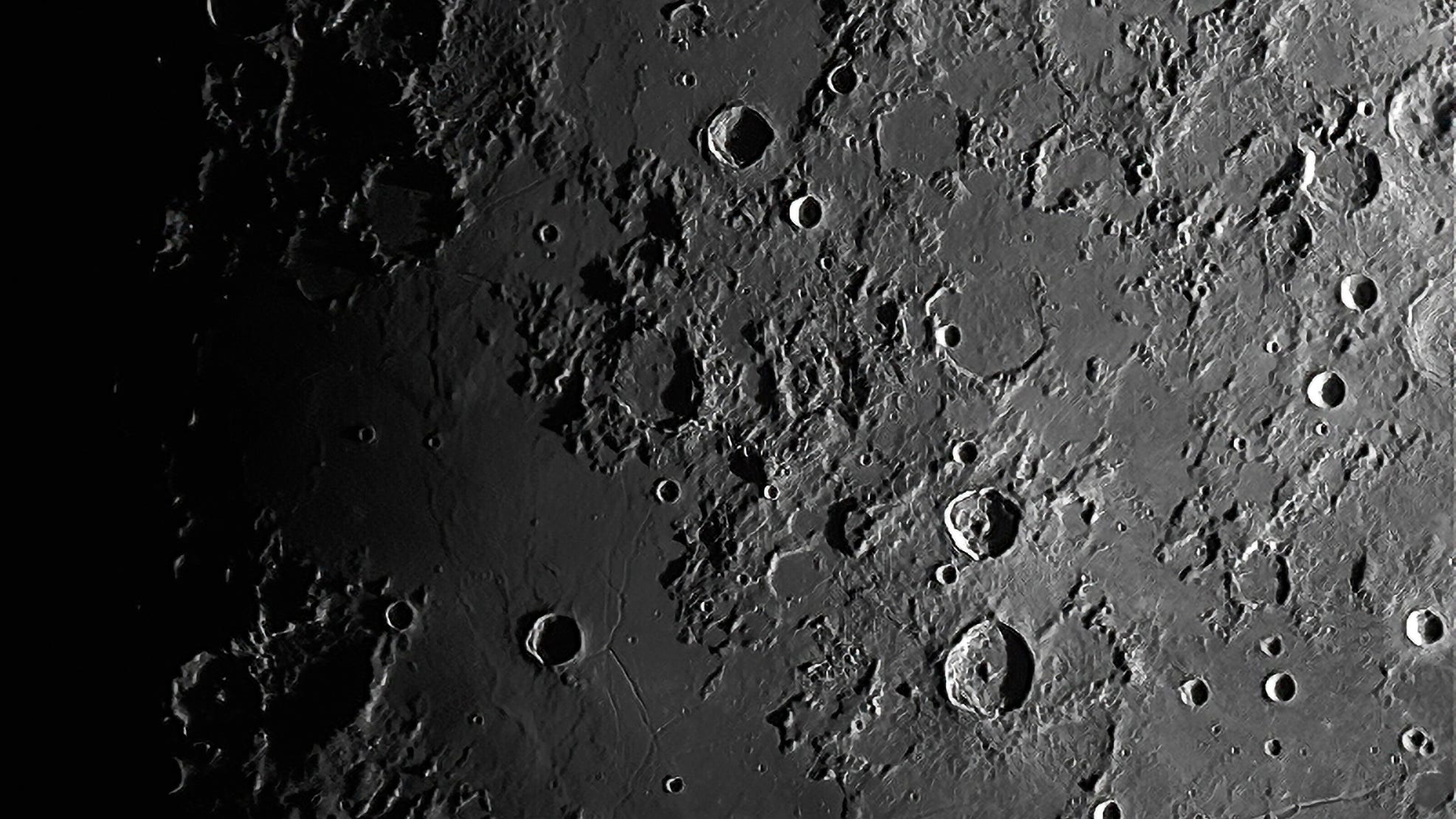 Plants are growing in lunar soil brought back by Apollo astronauts more than 50 years ago