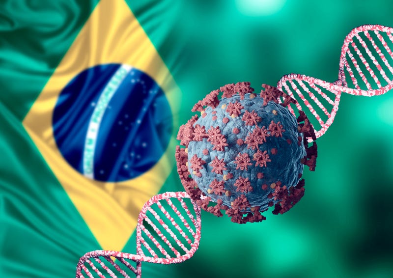 Brazil COVID-19 variant