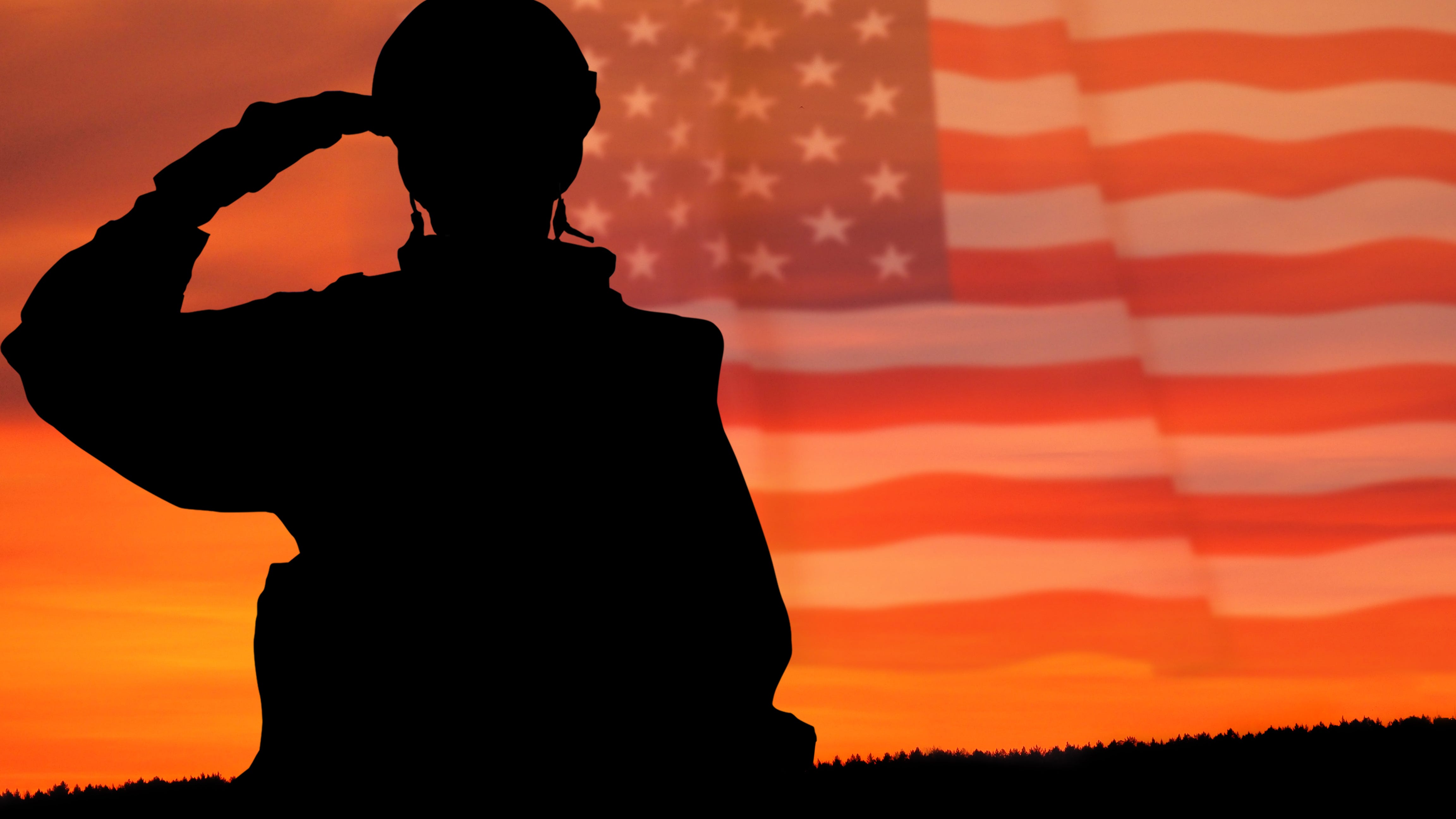 Chicagoans honored at city’s annual Veterans Day ceremony