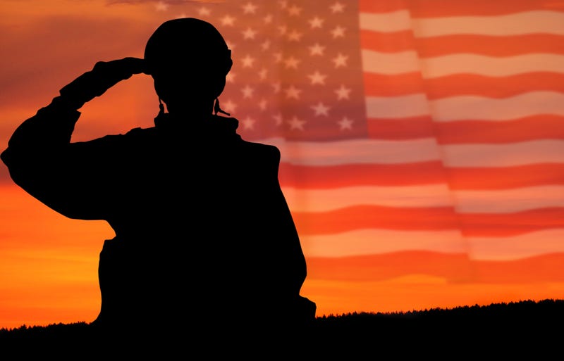 Chicagoans honored at city’s annual Veterans Day ceremony
