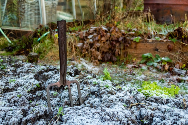 Raking, Leaves, Garden, Lawn, Winter, Minnesota