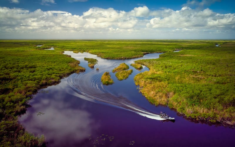 Ariel view of the Everglades.