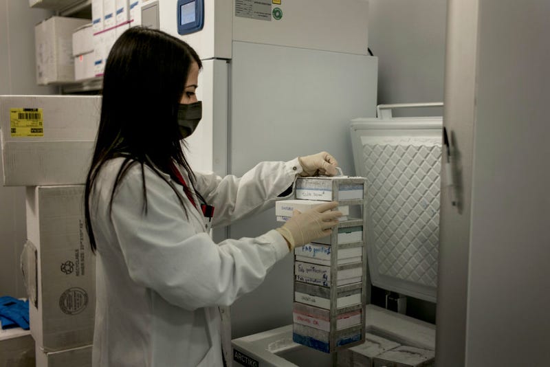 A researcher works in Monoclonal Antibody Discovery Lab at TLS Foundation on February 22, 2021 in Siena, Italy. (Photo by Gianluca Panella/Getty Images)