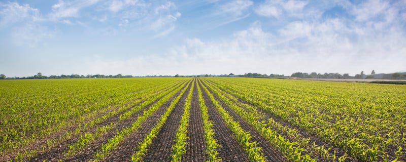 farm land