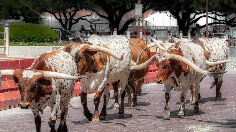 Fort Worth Stockyards