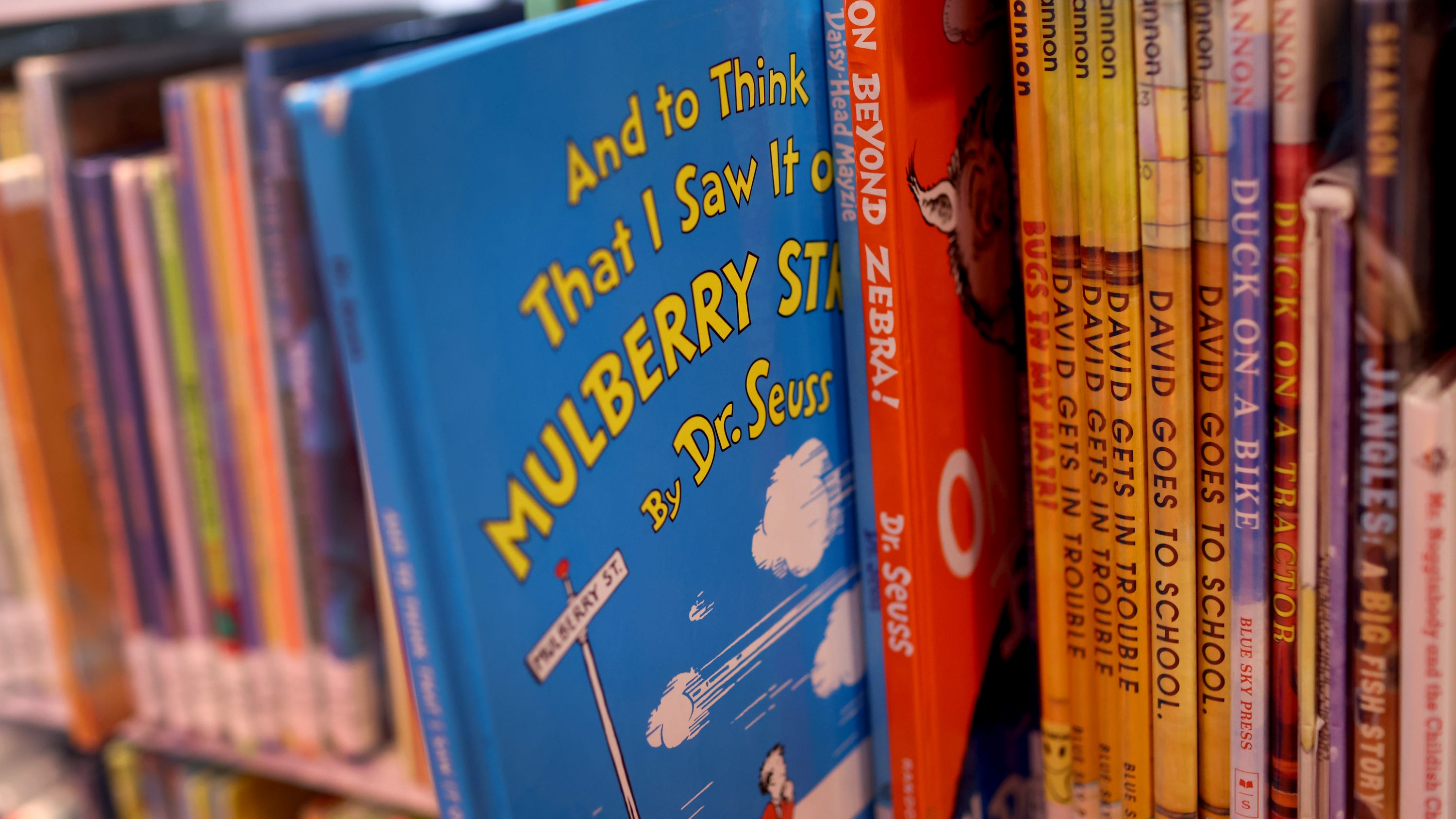 Dr. Seuss' stepdaughter speaks on his controversial books: 'I wish they were not out there'