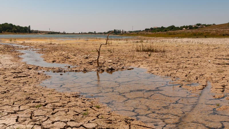 Lake bed drying up due to drought