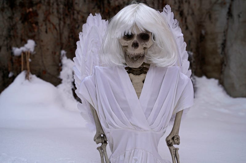 skeleton of an angel in white snow